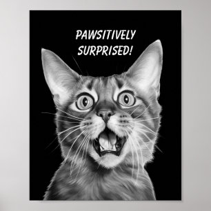 PASSIEF VERRAST! Grappige Crazy Cat Poster