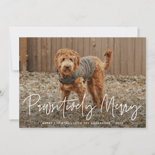 Passief vrolijk groen huisdier foto feestdagenkaart (Voorkant)