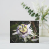 passiefplant, bloem, myreddingskunst briefkaart (Staand voorkant)