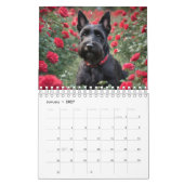 Passieve dagen: honden voor elke maand, kalender (Jan 2027)