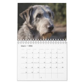 Passieve dagen: honden voor elke maand, kalender (Mar 2026)