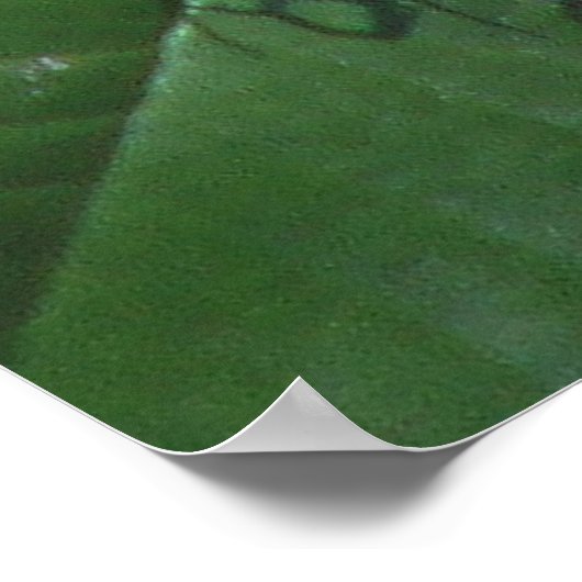 Passievloer en vlinder poster (Hoek)