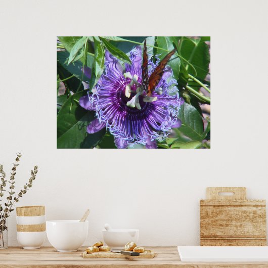 Passievloer en vlinder poster (Keuken)