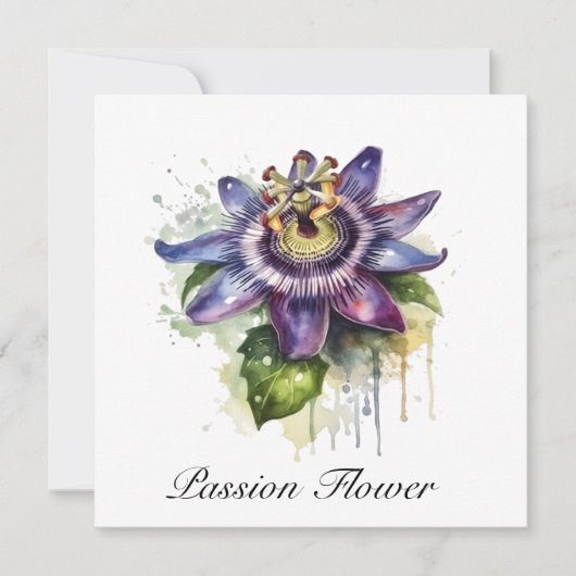 Passievolle Paarse Passiebloem (Voorkant)