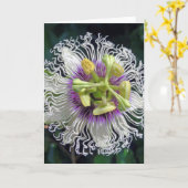 Passievruchtbloesem Kaart (Gele Bloem)
