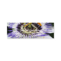 Passiflora 3 Floral Fotografie