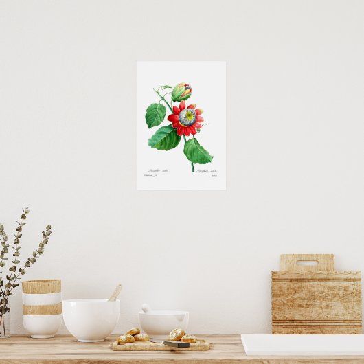 Passiflora alata poster (Keuken)