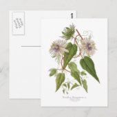 Passiflora baraquimima briefkaart (Voorkant / Achterkant)