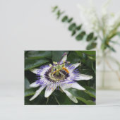 Passiflora Briefkaart (Staand voorkant)