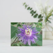 Passiflora Briefkaart (Staand voorkant)