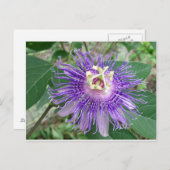 Passiflora Briefkaart (Voorkant / Achterkant)