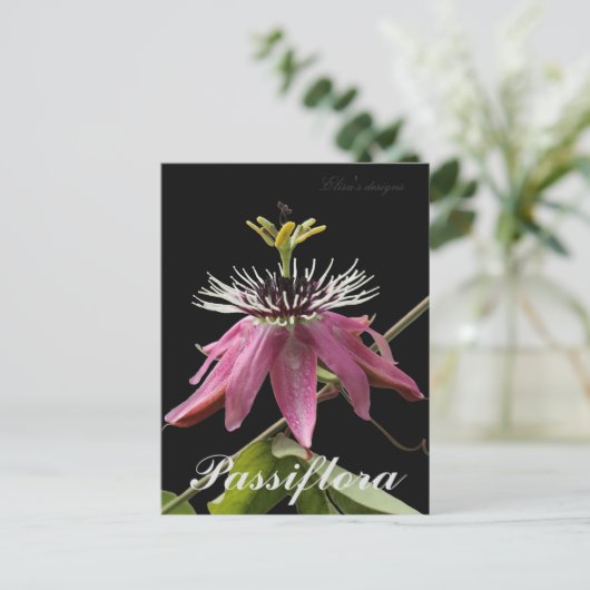 Passiflora-Briefkaart Briefkaart (Staand voorkant)
