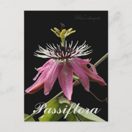 Passiflora-Briefkaart Briefkaart