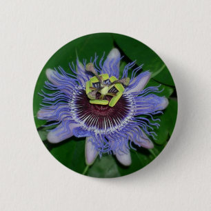 Passiflora caerulea Passion flower Ronde Button 5,7 Cm