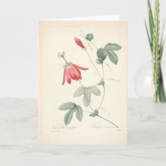 Passiflora door Redoute botanische sympathiekaart Bedankkaart
