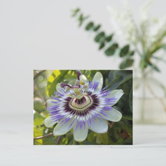 Passiflora edulis forma flavicarpa (Passievloer) Briefkaart (Staand voorkant)