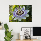 Passiflora edulis forma flavicarpa (Passion Flower Poster (Thuiskantoor)