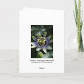 Passiflora - Fleur de la Passion Kaart (Achterkant)