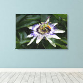 Passiflora - Floral fotografie Canvas Afdruk (Insitu (Houten vloer))