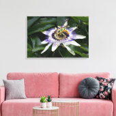 Passiflora - Floral fotografie Canvas Afdruk (Insitu (Woonkamer))