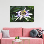 Passiflora - Floral fotografie Canvas Afdruk (Insitu (Woonkamer))