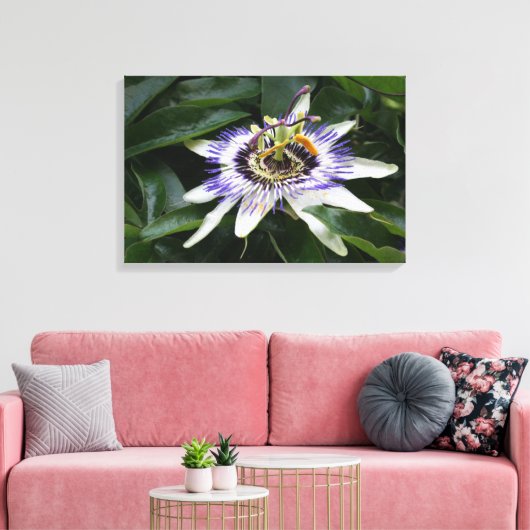 Passiflora - Floral fotografie Canvas Afdruk (Insitu (Woonkamer))