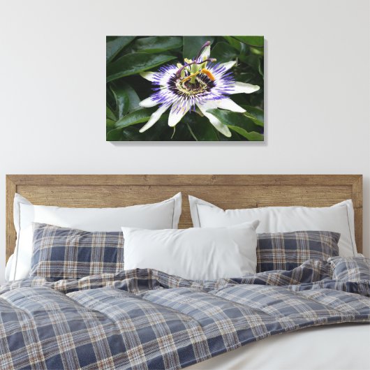 Passiflora - Floral fotografie Canvas Afdruk (Insitu (Slaapkamer))
