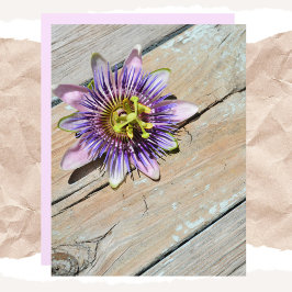 Passiflora Floral Verweerd Houtpapier