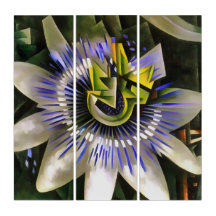 Passiflora Passion Flower in Geometric Art Style