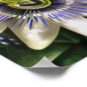 Passiflora Passion Flower in Geometric Art Style Poster (Hoek)