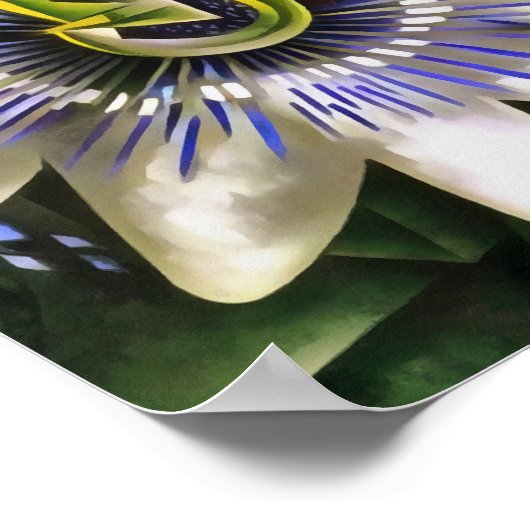 Passiflora Passion Flower in Geometric Art Style Poster (Hoek)