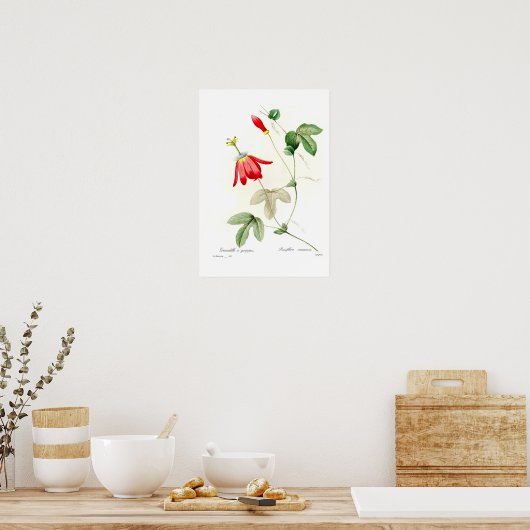 Passiflora racemosa poster (Keuken)