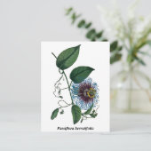 Passiflora Serratifolia Briefkaart (Staand voorkant)