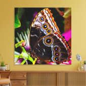 Passiflora VIOLACEA en een blauwe morpho vlinder Canvas Afdruk (Insitu (Woonkamer))