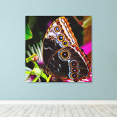 Passiflora VIOLACEA en een blauwe morpho vlinder Canvas Afdruk (Insitu (Houten vloer))