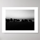 Passing Trees Canada Zwart-wit Fotografie Poster (Voorkant)