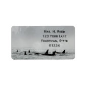 Passing Whales retouradreslabel Etiket (Voorkant)