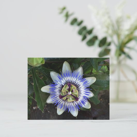 Passion Flower #2 Briefkaart (Staand voorkant)