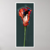 Passion Flower #5 Poster (Voorkant)