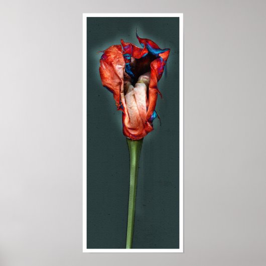 Passion Flower #5 Poster (Voorkant)