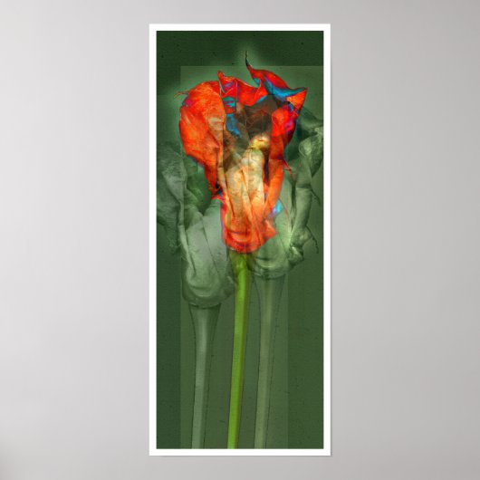 Passion Flower #6 Poster (Voorkant)