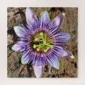 Passion Flower Blossom Botanical Photographic Legpuzzel (Horizontaal)