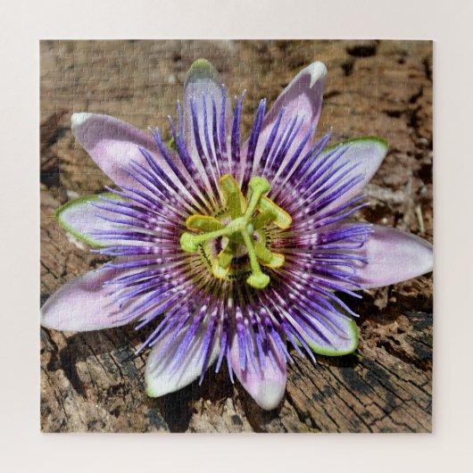 Passion Flower Blossom Botanical Photographic Legpuzzel (Verticaal)