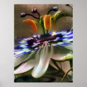 Passion Flower Blossom in Art Deco Abstracte stijl Poster (Voorkant)