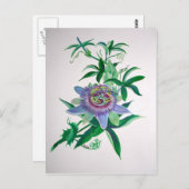 Passion Flower Botanical Art Briefkaart (Voorkant / Achterkant)