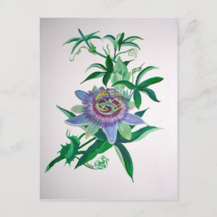 Passion Flower Botanical Art Briefkaart