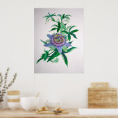 Passion Flower Botanical Art Poster (Keuken)