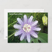 Passion Flower Briefkaart (Voorkant / Achterkant)