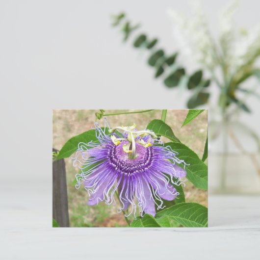 Passion Flower Briefkaart (Staand voorkant)