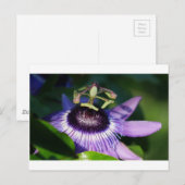 Passion Flower Briefkaart (Voorkant / Achterkant)